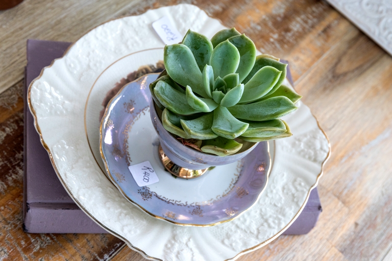 Free State interior decor art antiques Frankfort Linkview